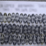 Pasajeros de un colectivo que salió de Jujuy tenían cocaína