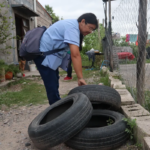 El descacharrado es fundamental ante chikungunya y dengue