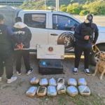 Salió de Jujuy con 12 kilos de marihuana y lo descubrieron