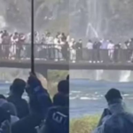 El fuerte comunicado del Parque Nacional Iguazú tras el video del turista que se lanzó al agua para buscar su celular