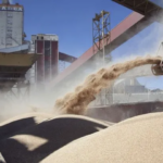 Las exportaciones agroindustriales alcanzaron 53 millones de toneladas y u$s22.383 millones entre enero y mayo